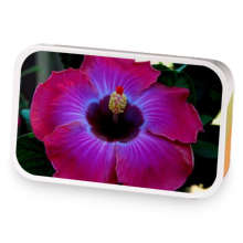 Lemon Hibiscus sample blend