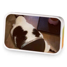 Kim's Blend sample blend