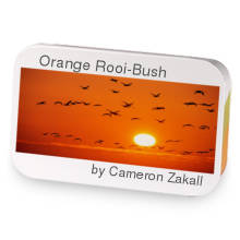 Orange Rooi-Bush sample blend