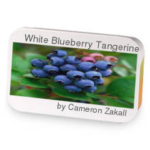 White Blueberry Tangerine sample blend