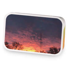 Cinnamon Vanilla Black sample blend