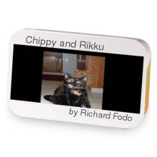 Chippy and Rikku sample blend