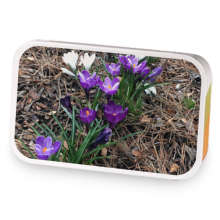 warm morning sun sample blend