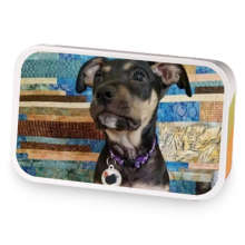 TJ Pumpkin Spice  sample blend