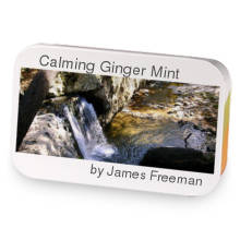 Calming Ginger Mint sample blend