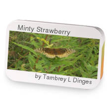 Minty Strawberry sample blend