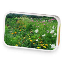 Coconuts sample blend