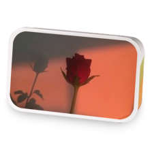 Quiet Rose sample blend