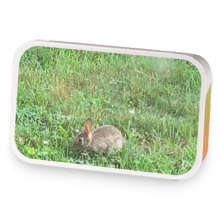 Spice Up Your Life sample blend