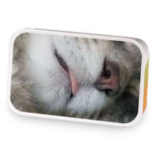 Fawn sample blend