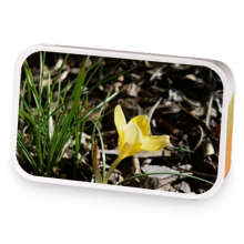 Ginger-caramel sample blend