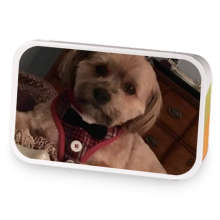 ChocoMint sample blend