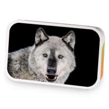 Kaelas brew sample blend