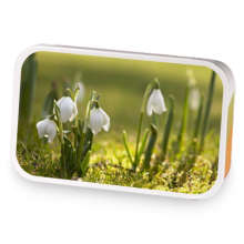 Emilys Brew sample blend