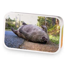 Graysons Brew sample blend