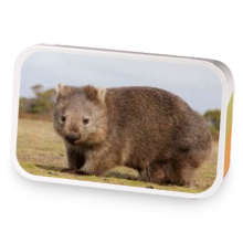 Bretts Brew sample blend