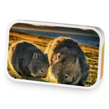 Matthews Brew sample blend