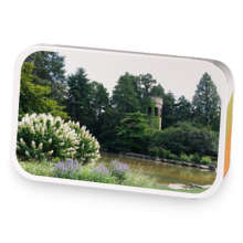 Courtship  sample blend