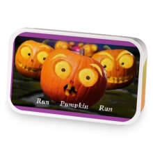 NEW:2019:Run baby Pumpkin RUN! sample blend