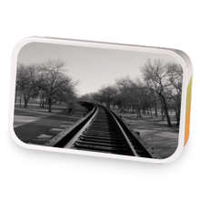 White Apricot Peach Rooibos sample blend