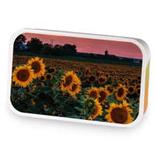 Soleil sample blend