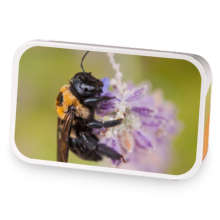 Wild Bumble berry  sample blend