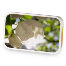 Peaches and Cream Bravo sample blend