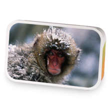 Snow Monkey sample blend
