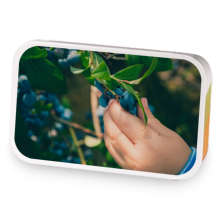 Blueberry Vanilla Cream sample blend