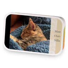 Mint Chai-Nilla sample blend