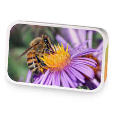 Wild Bumble berry and Honey.  sample blend