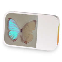 Mila Aesthetic sample blend