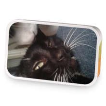 Daegan's cinnamon Spice sample blend