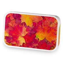 Apple Spice Rooibos sample blend