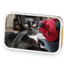 Daegan's Irish Cream Coffee sample blend