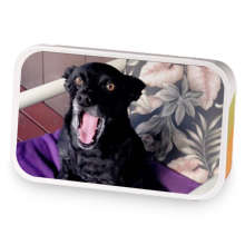 Puppy Yawns sample blend