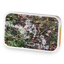 flower gardens sample blend