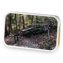 Nature Trail sample blend