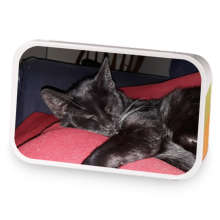 Daegans Chocolate Bar  sample blend