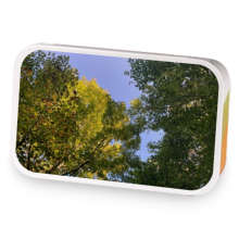 worlds end sample blend