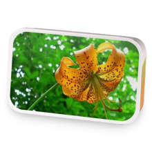 Lily sample blend