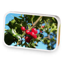 Holly sample blend