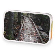 Blood Orange Spice sample blend