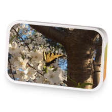 Jillians Spring Blend sample blend