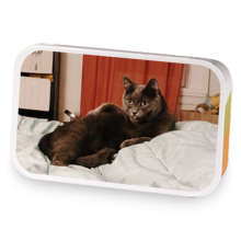 Nyxs Secret Blend sample blend