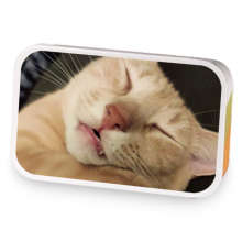 GoodNight Meatball sample blend