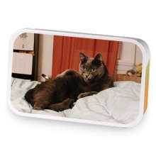 Nyxs Secret Blend sample blend