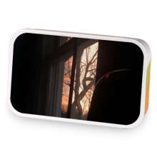 Pure Strawberry  sample blend