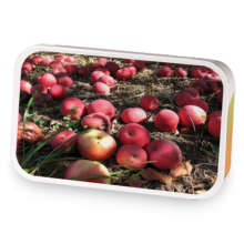 Mulled Apple Cider sample blend