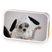 Dog Sees God sample blend